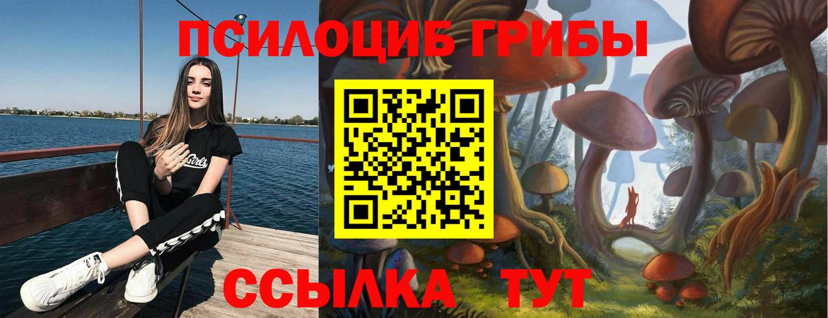 Гусь-Хрустальный  Псилоцибиновые грибы MAGIC MUSHROOMS  Вход с VPN 